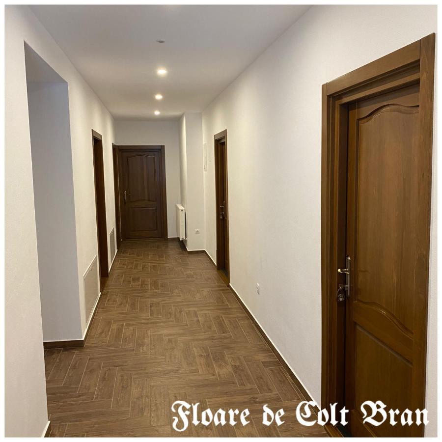 Hotel Floare De Colt-Bran Bran  Exterior foto