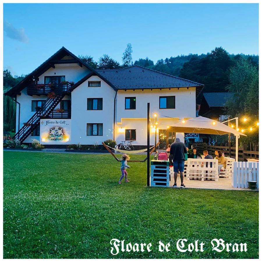 Hotel Floare De Colt-Bran Bran  Exterior foto