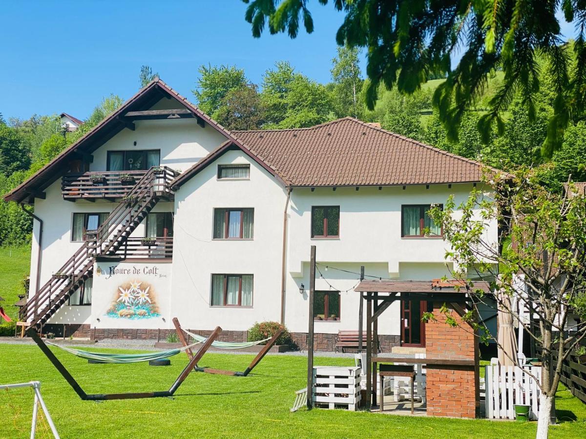 Hotel Floare De Colt-Bran Bran  Exterior foto