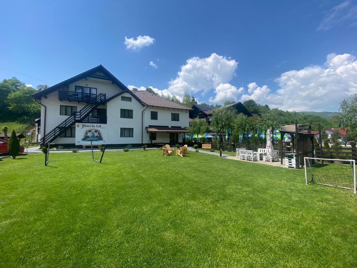 Hotel Floare De Colt-Bran Bran  Exterior foto