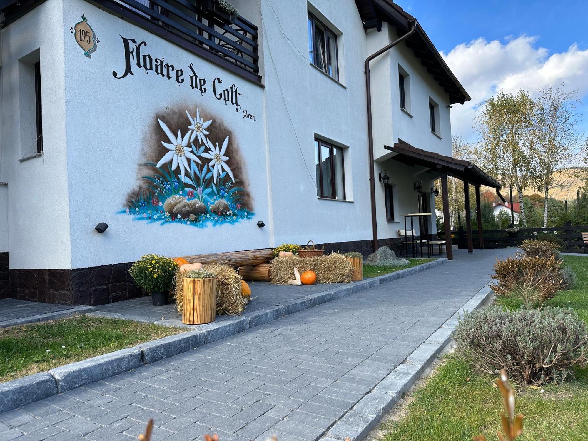 Hotel Floare De Colt-Bran Bran  Exterior foto