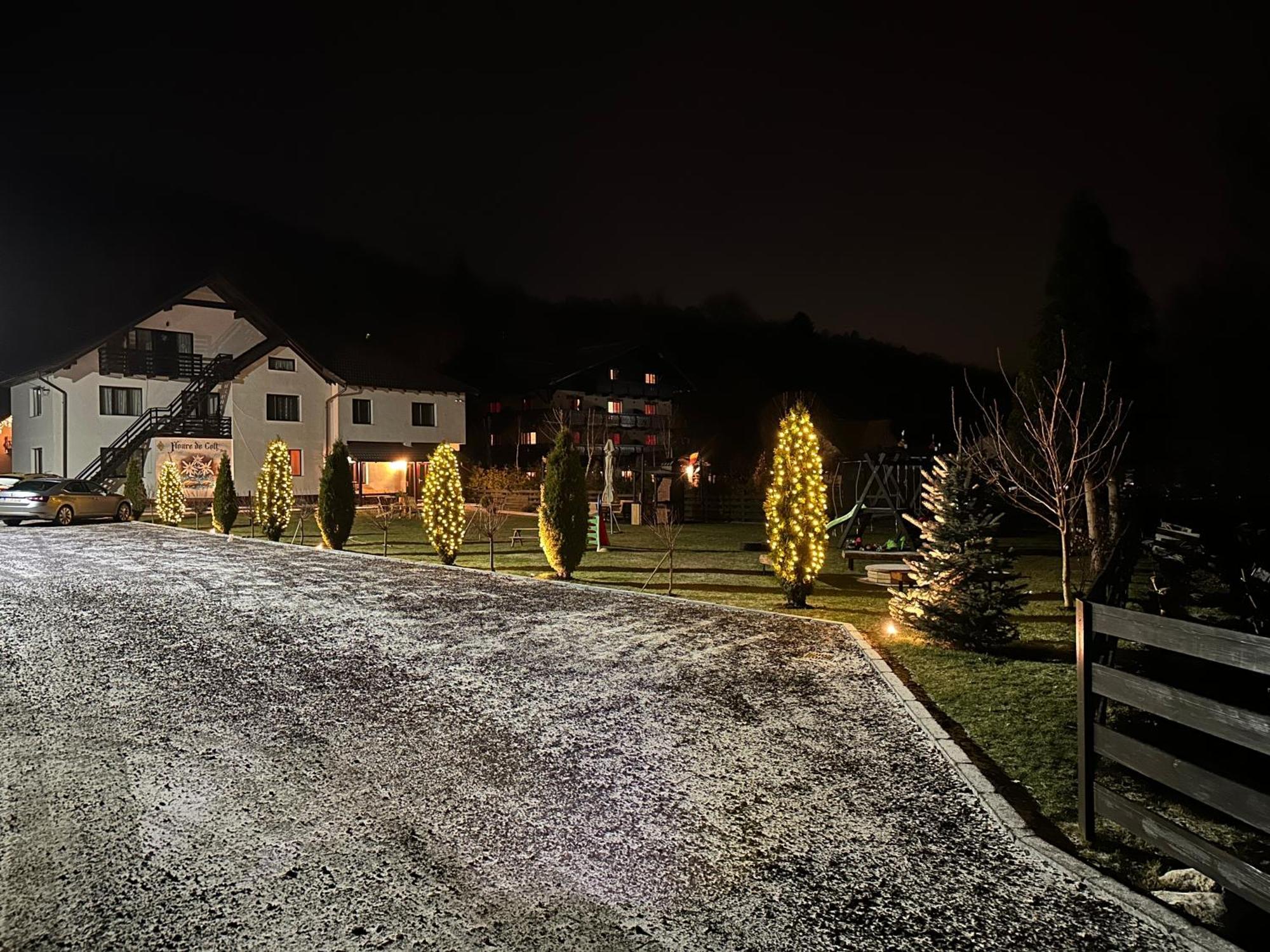 Hotel Floare De Colt-Bran Bran  Exterior foto
